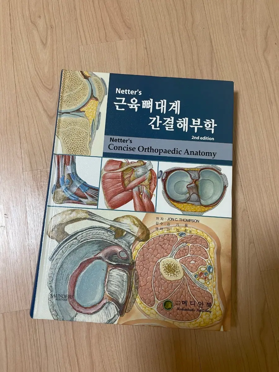 [의학서적/미사용]Netter's 근육뼈대계 간결해부학 2nd edition