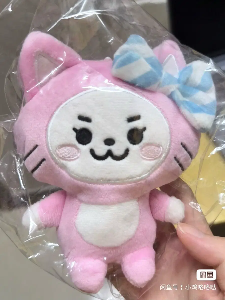 예판 있지 일본 인형 택 없음