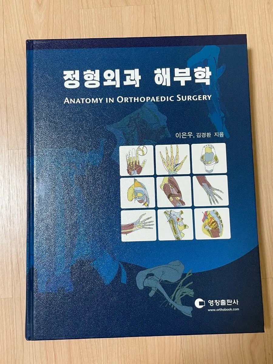 [의학서적/미사용/절판]정형외과 해부학 교재