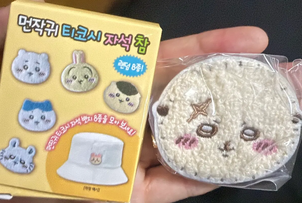 치이카와 티코시 자석참 랏코