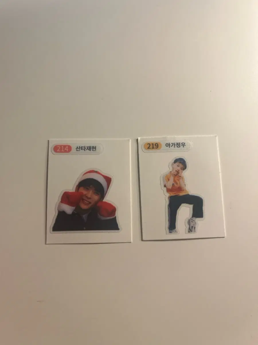 엔시티 정우 재현 띠부실