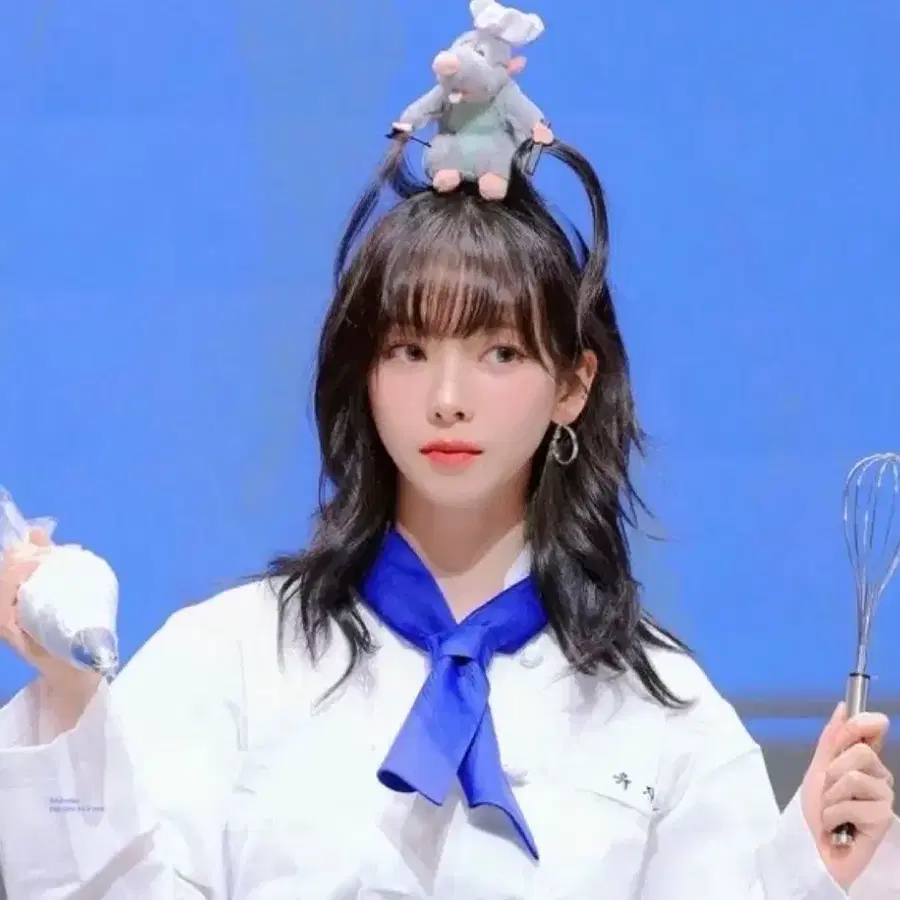 라따뚜이 졸사 판매