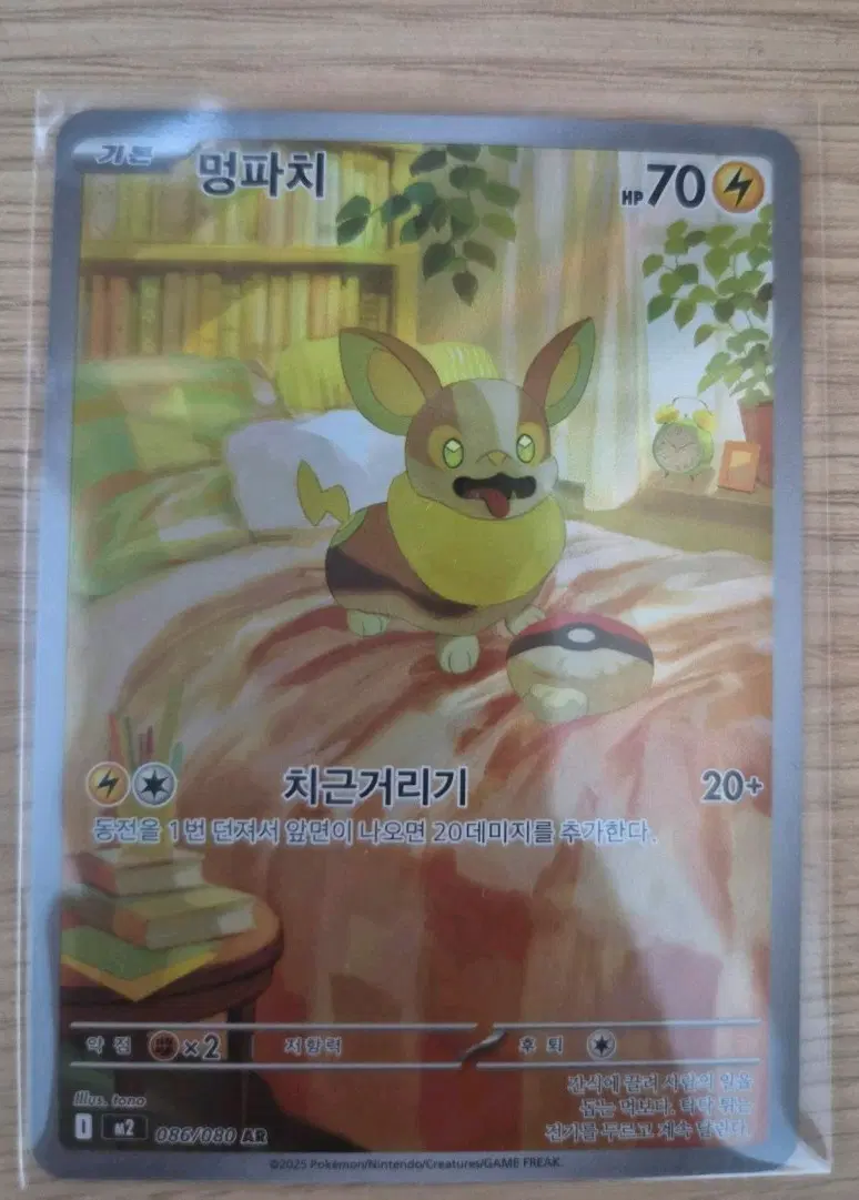 포켓몬 카드 멍파치