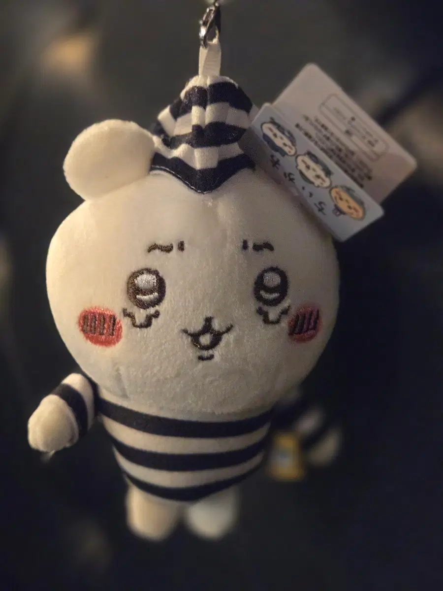치이카와 하치와레 죄수복키링