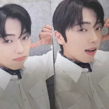대만 입장포카 민균