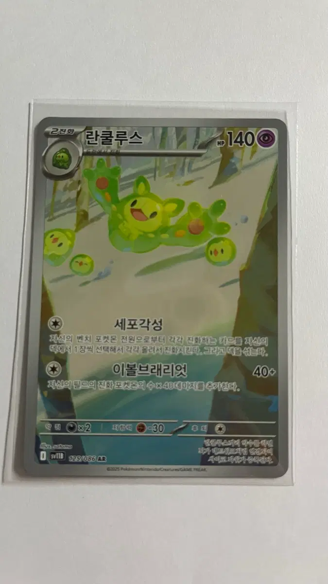 란쿨루스 AR