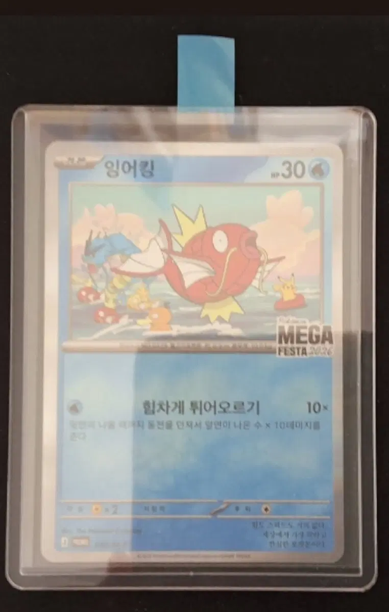 잉어킹 프로모카드