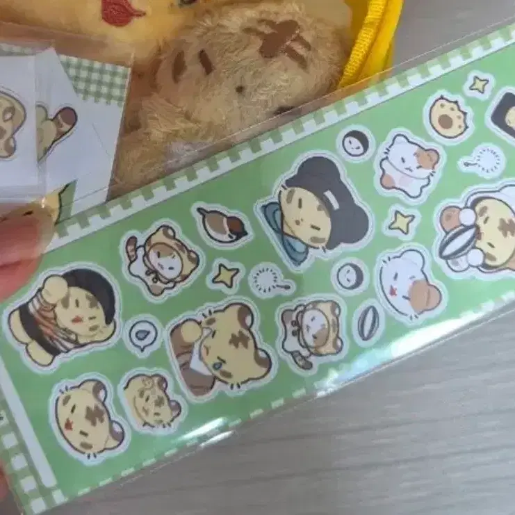 홋티 스티커,호시우지 특전 티켓사요ㅠㅠ..