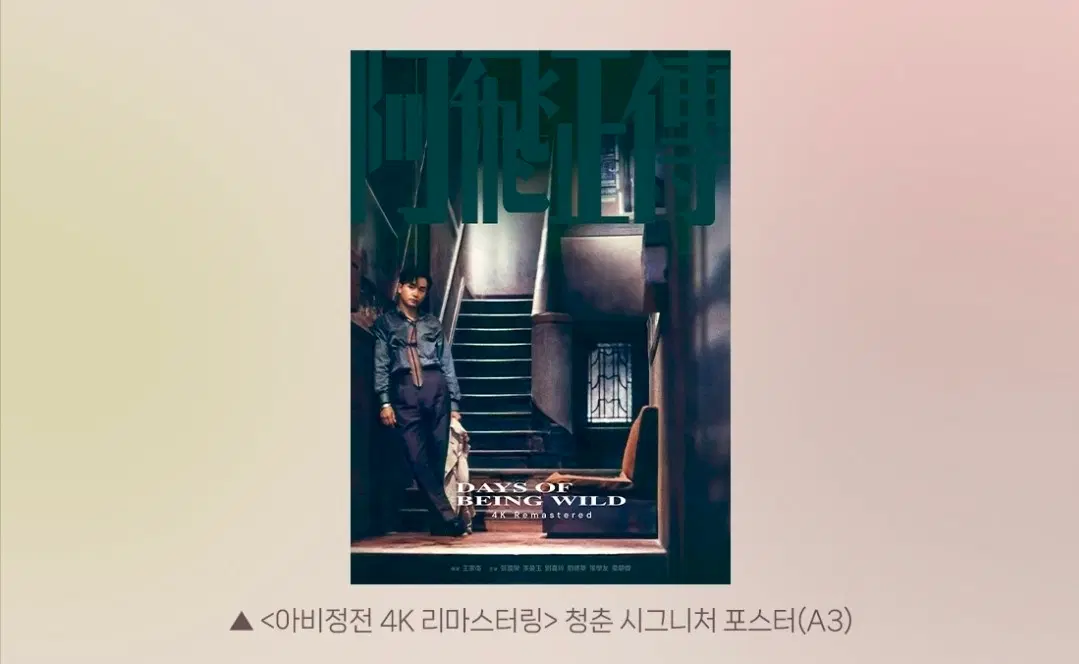 아비정전 4K 리마스터링 청춘 포스터