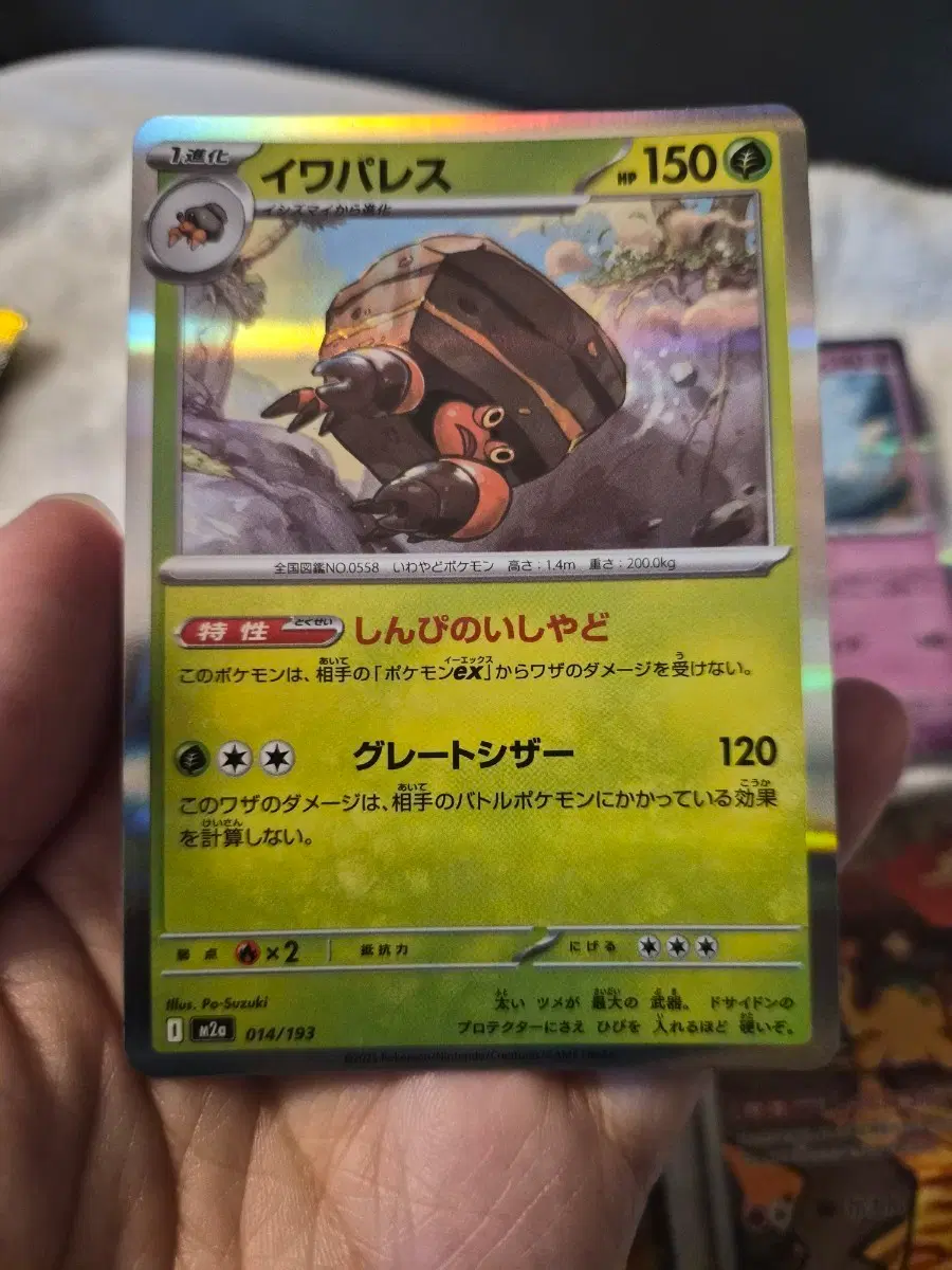 포켓몬카드 암팰리스 MEGA ex JP판