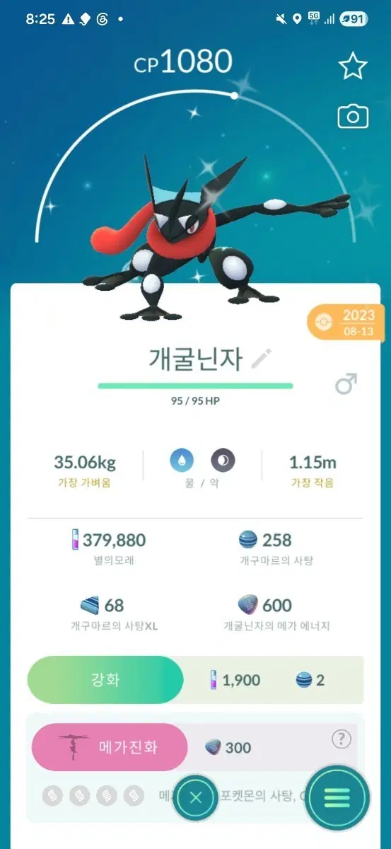 개굴닌자