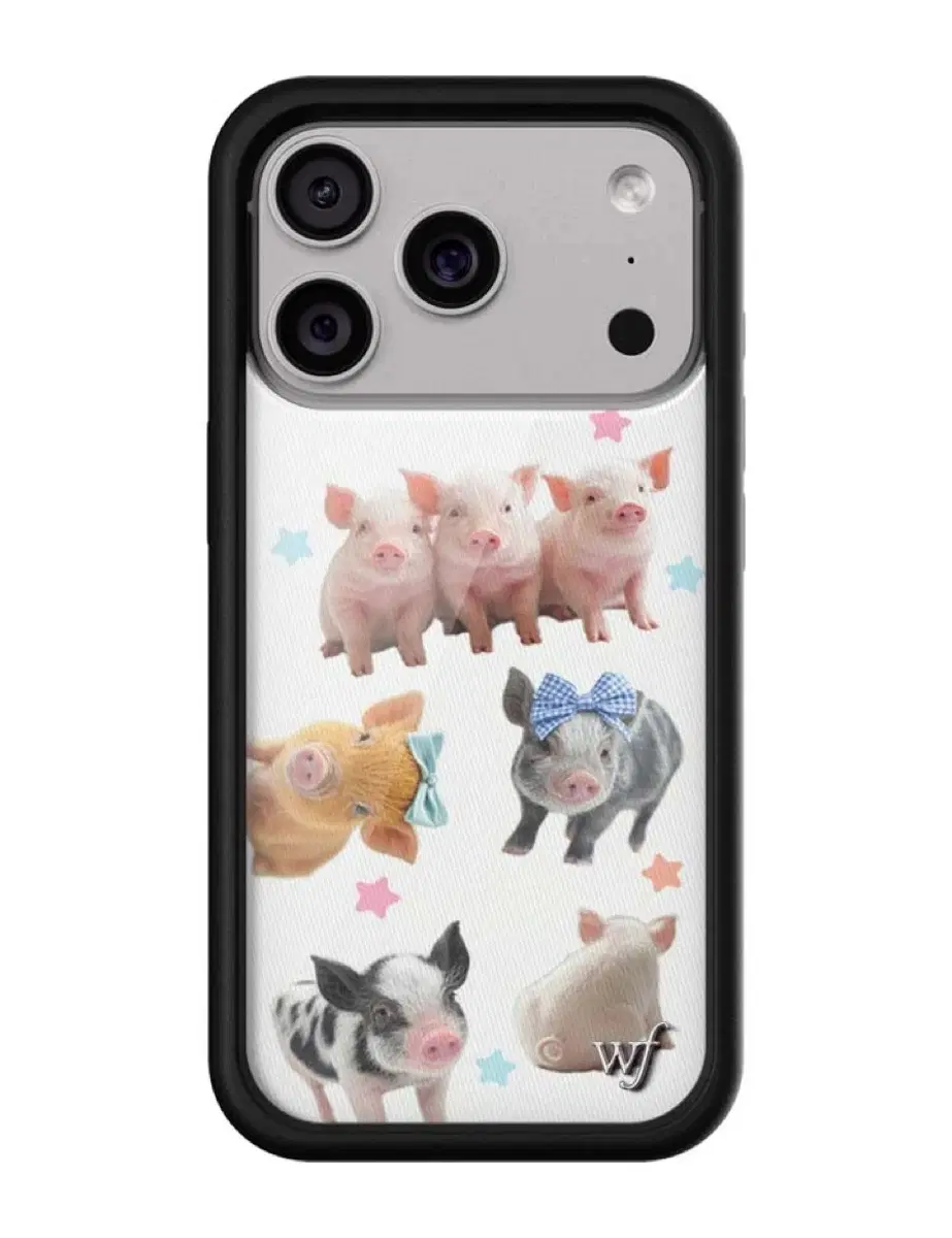 와일드플라워 아이폰 15프로 Little Piggies 돼지