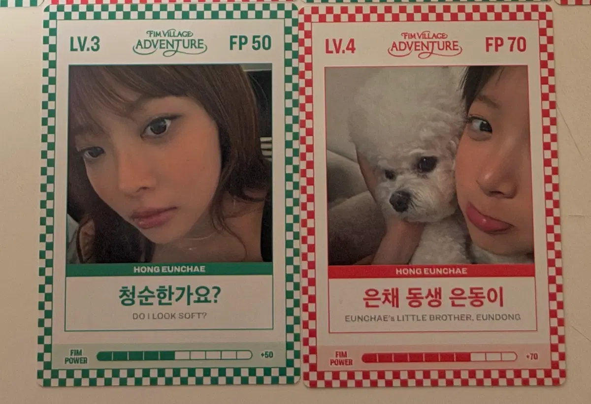 르세라핌 핌카드 홍은채 세트 2026 FEARNOT 피어나 데이