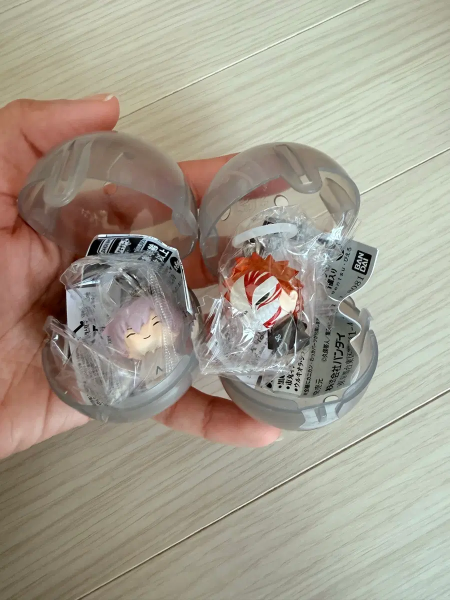 블리치 메지루시 이치고,긴 일괄