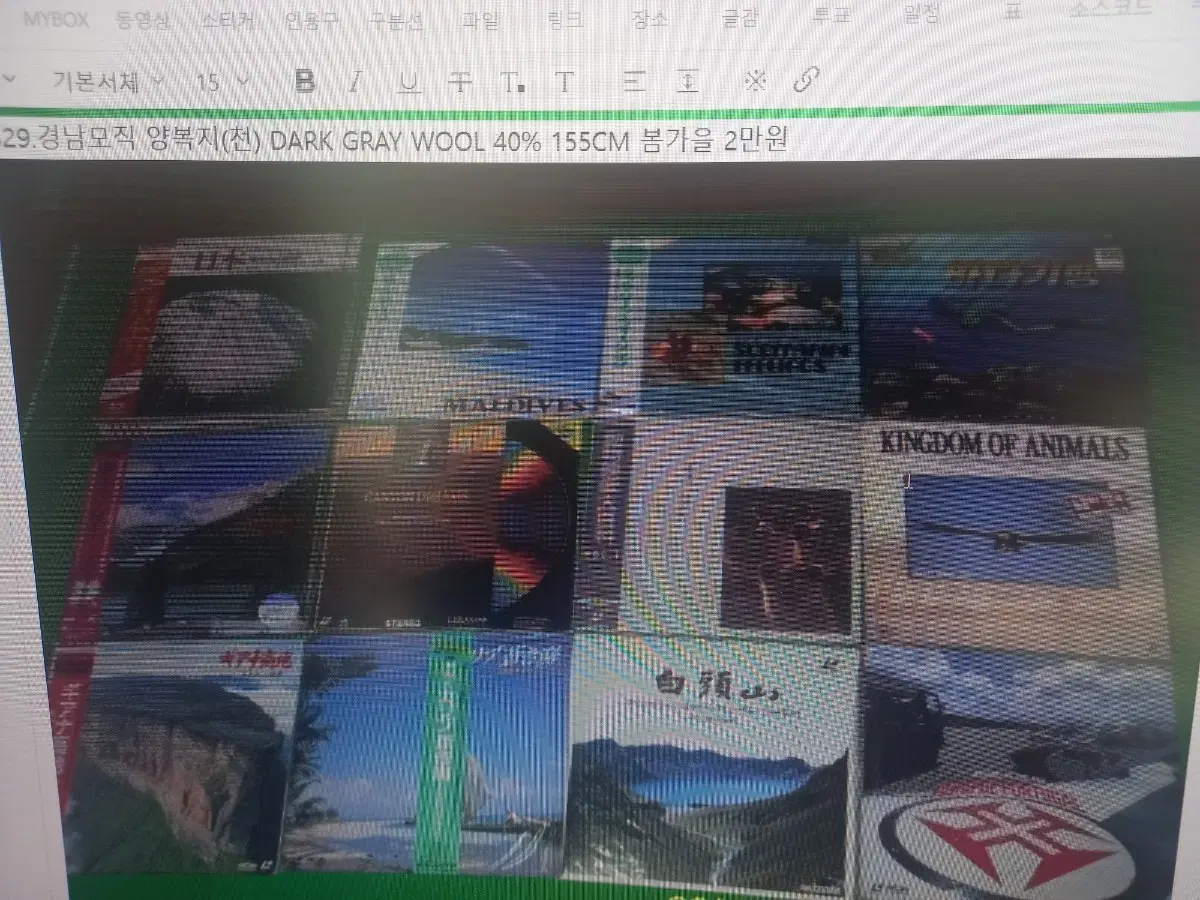 자연다큐멘터리,동물의왕국,바다기행 LD판 20EA
