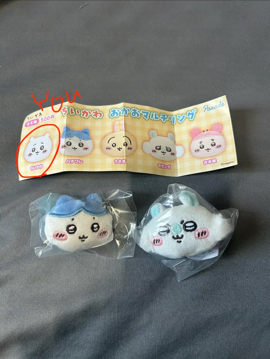 치이카와 오카오 멀티링 모몽가