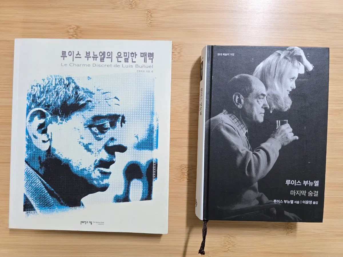 도서 감독 루이스 부뉴엘 비평서 + 자서전