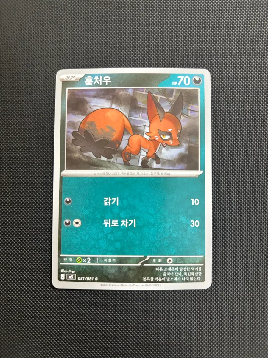 고대 빈티지 포켓몬카드 훔처우 일반카드 도감용 덱소스 m5 051/081