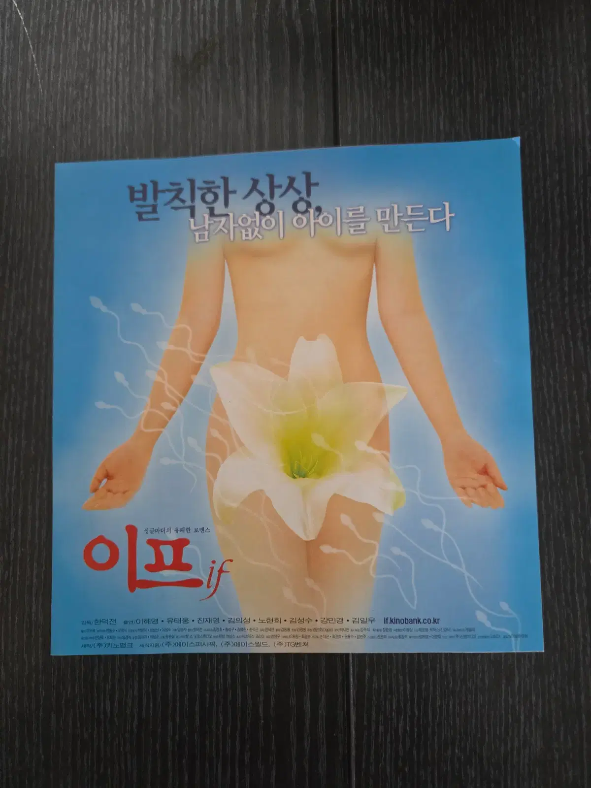 이프/영화전단지/영화자료/고전희귀