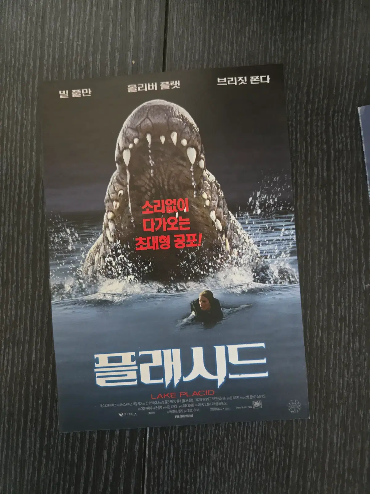 플래시드 / 영화전단지/영화자료/고전희귀