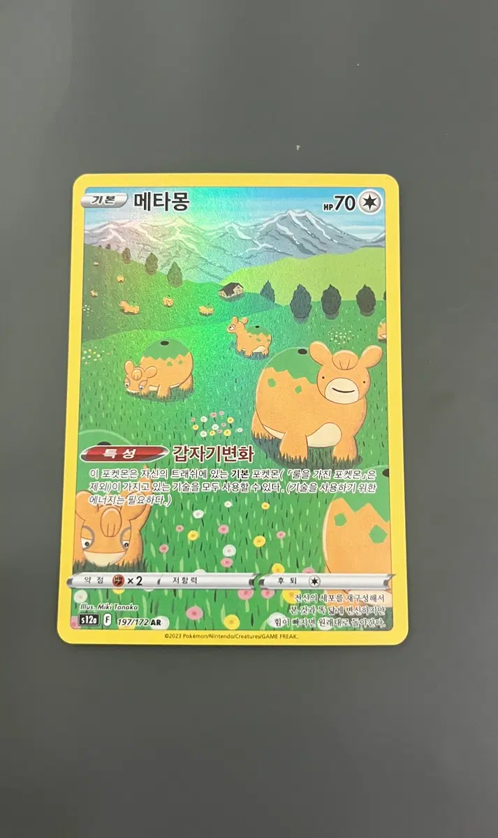 포켓몬 카드 메타몽 AR