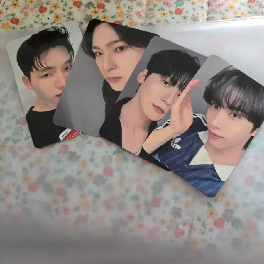 원어스 포카