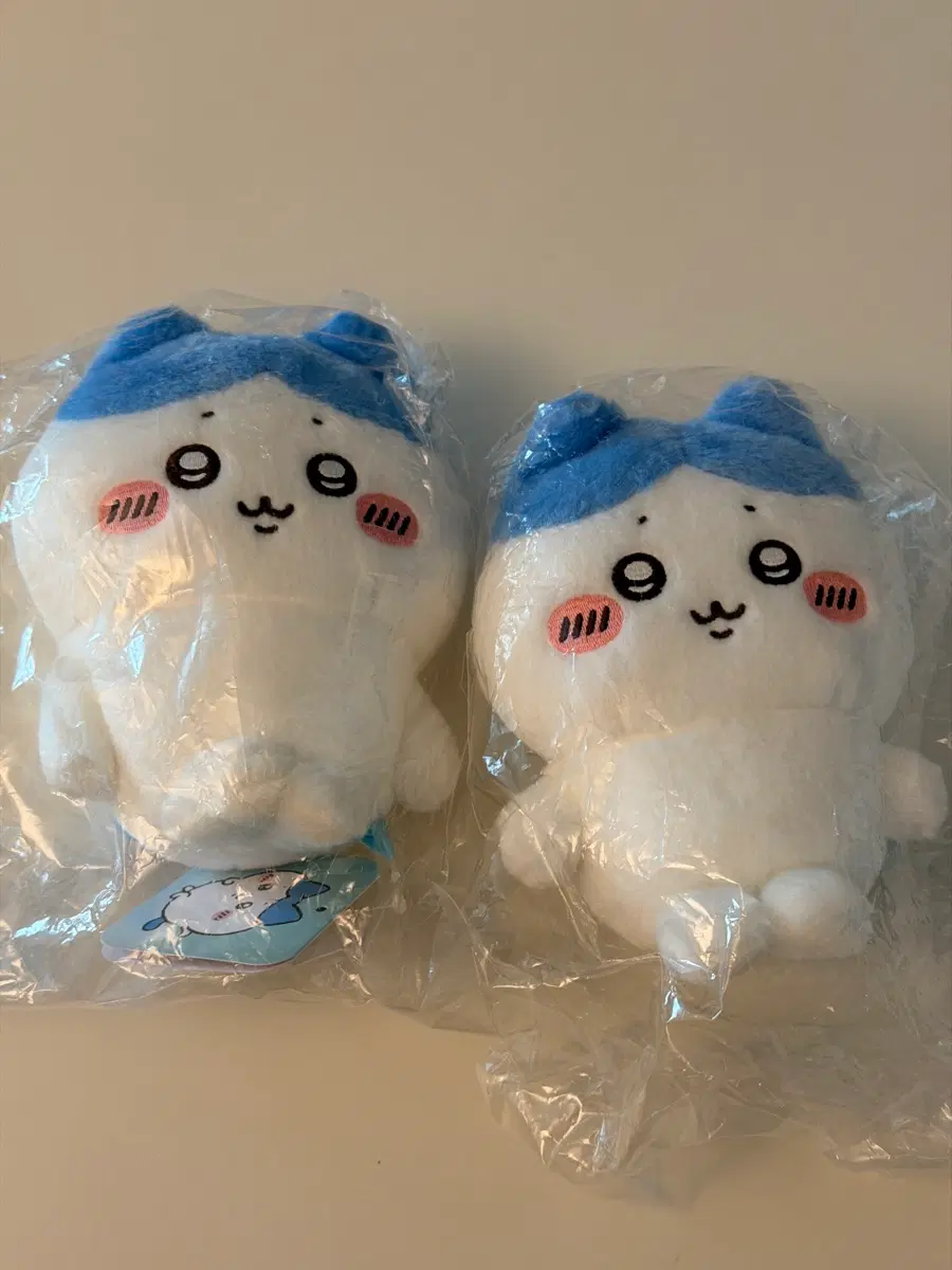 먼작귀 하치와레 치이카와 포징누이 관절누이
