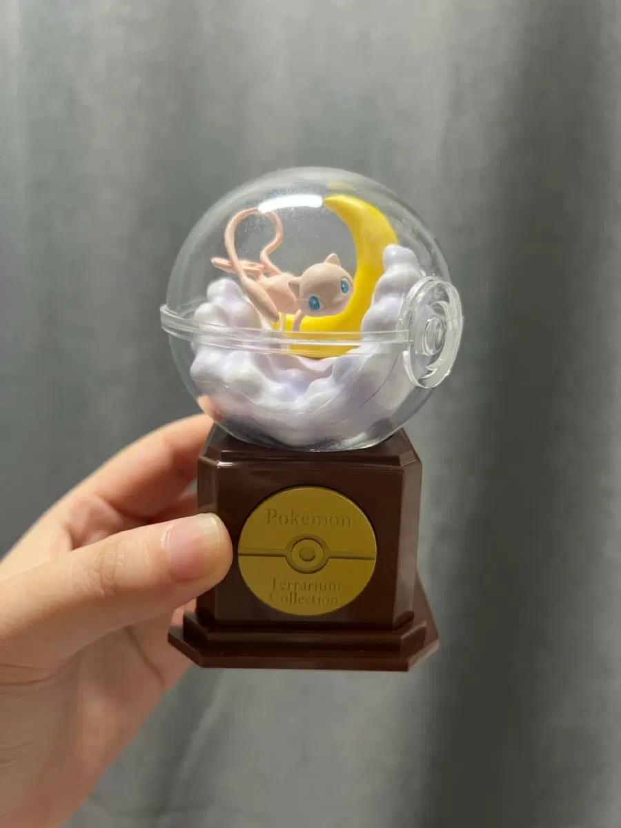포켓몬스터 뮤 리멘트 테라리움