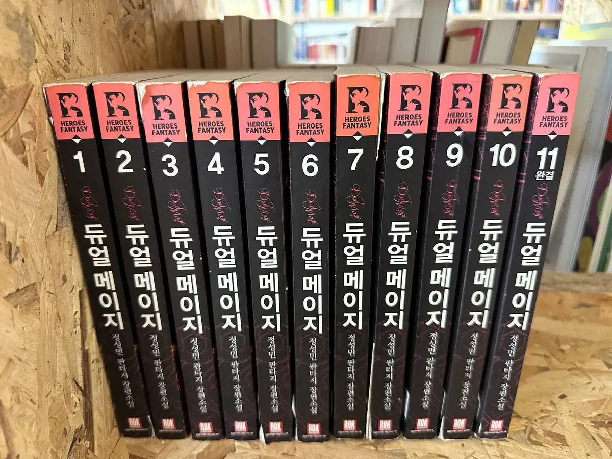 듀얼메이지 1~11