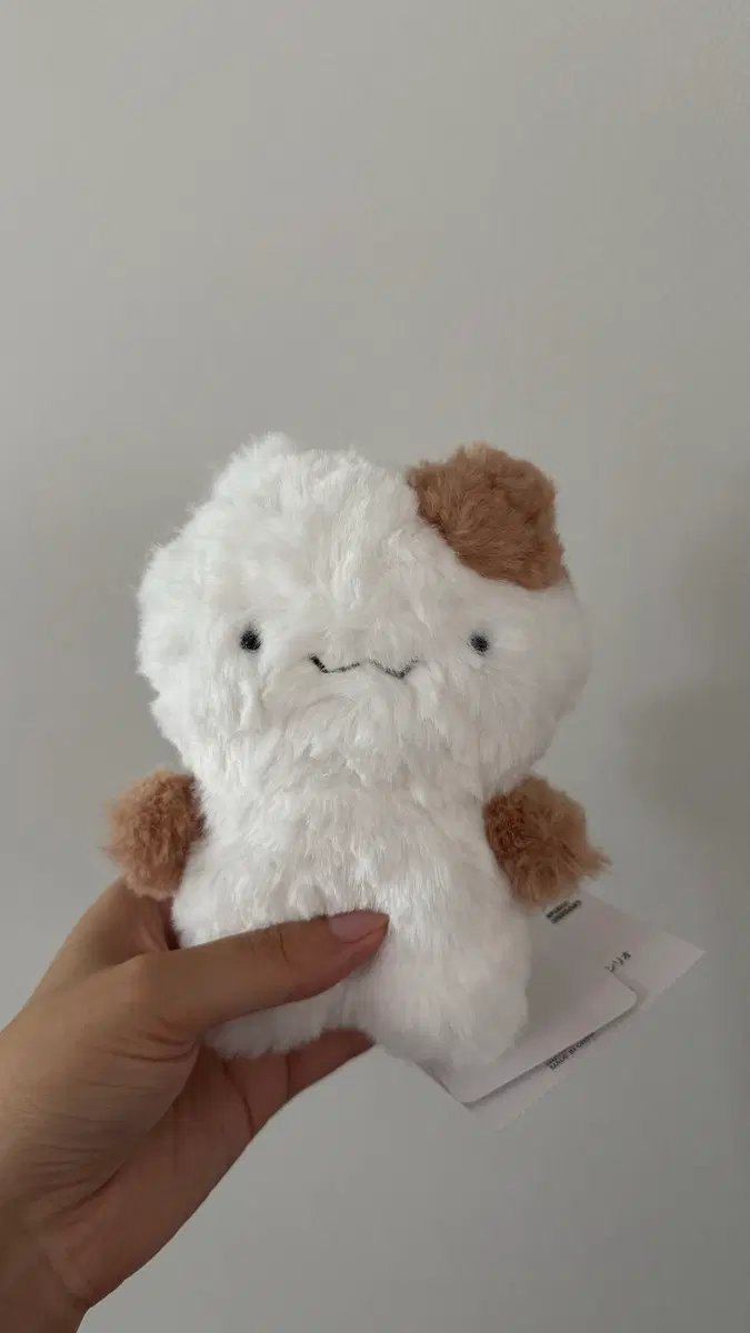 머핀 누이 새상품