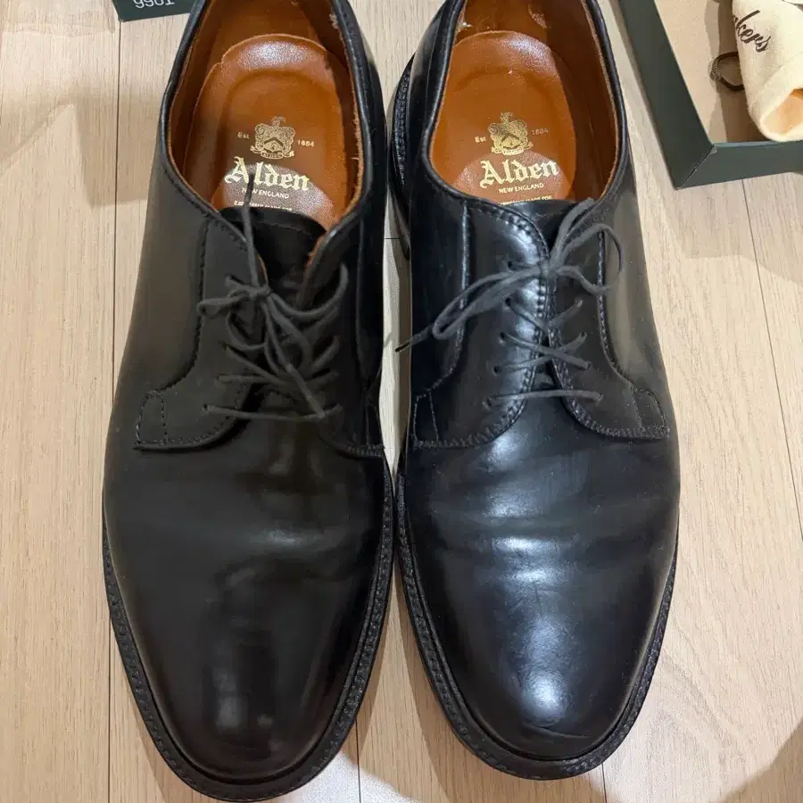 알든 9901 8.5 e볼