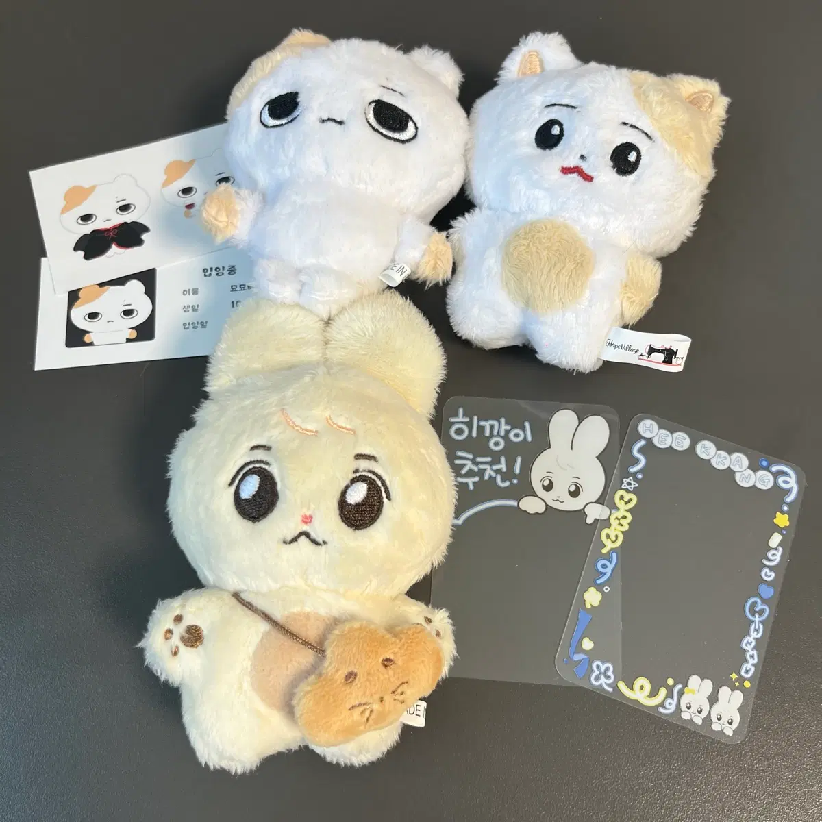 엔하이픈 희승 에반 evan 인형