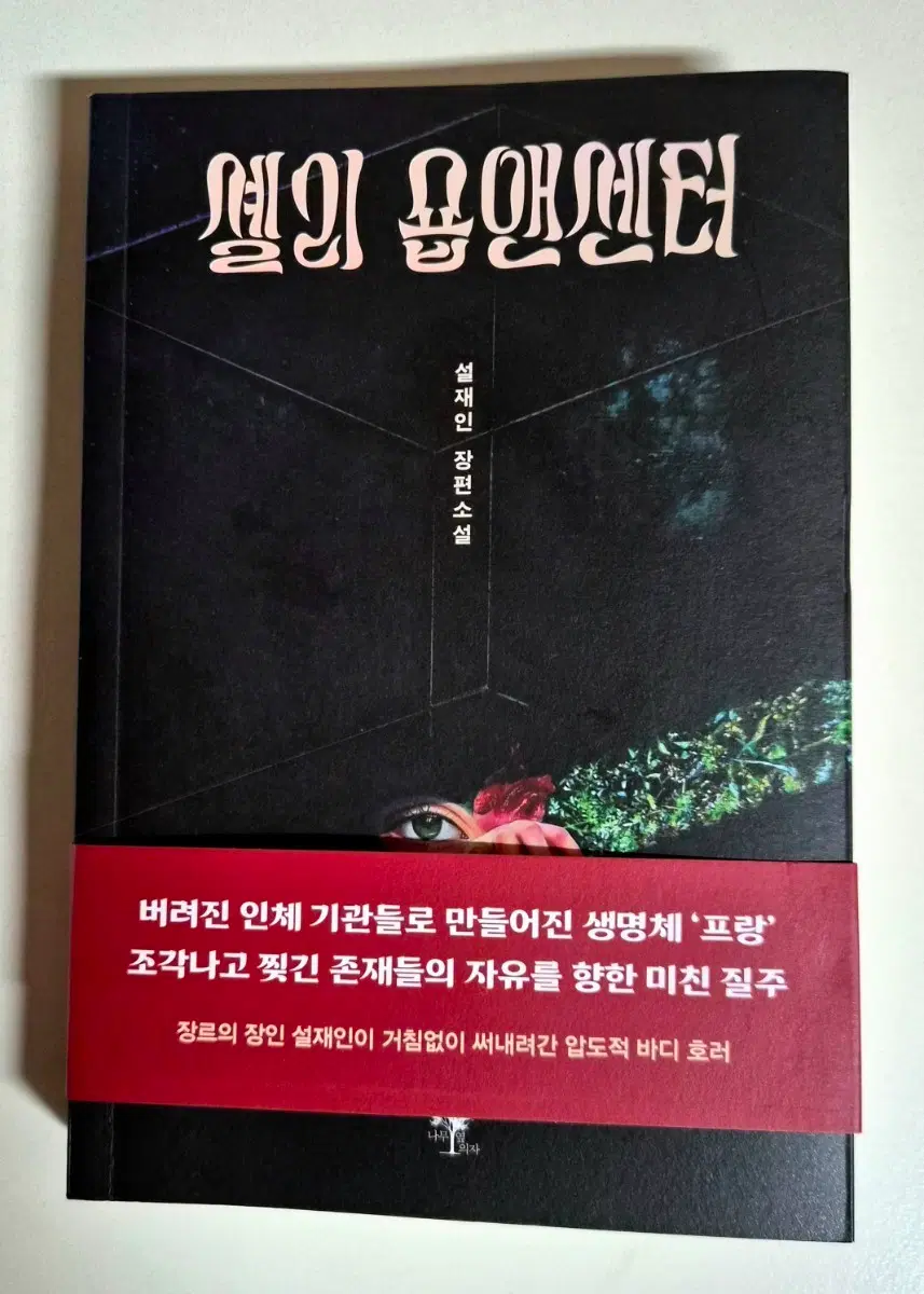 신간)셸리 숍앤센터 책 도서 추리소설 2026년 8월
