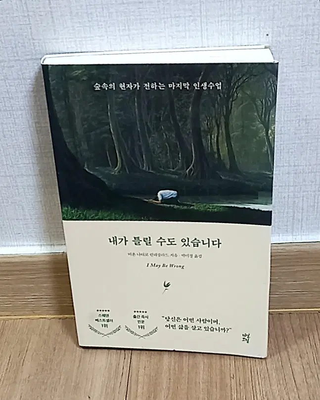 내가 틀릴 수도 있습니다 비욘 나티코 린데블라드 지음