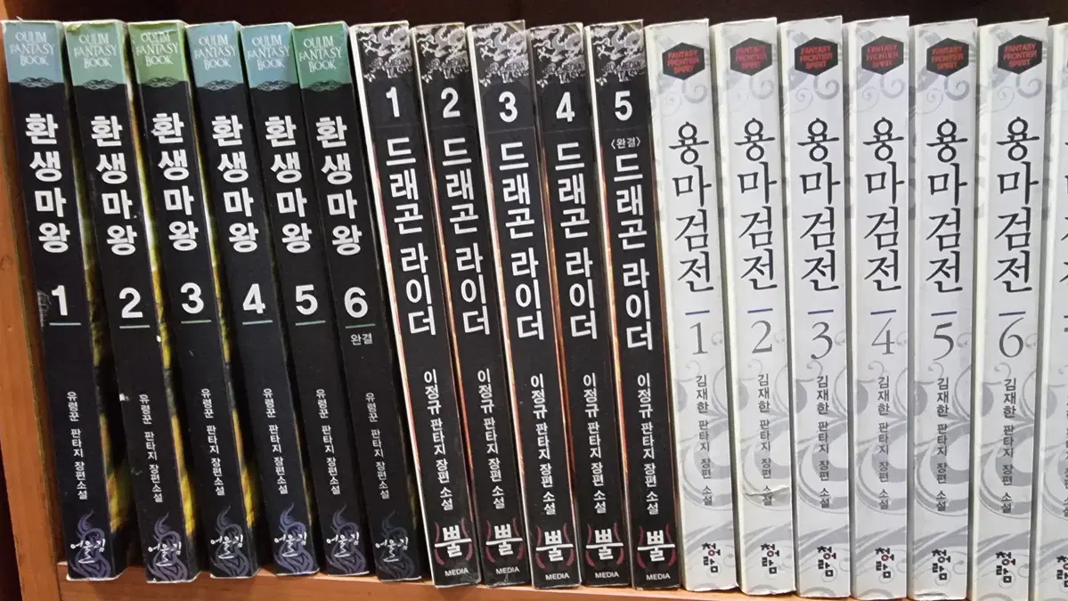 드래곤라이더 1-5 완 이정규 판타지 소설