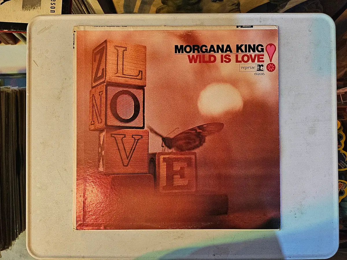 미국의 유명 재즈 보컬리스트이자 배우인 모가나 킹(Morgana King)이 1966년에 발표한 명반Wild Is Love/국내없는 희귀음반