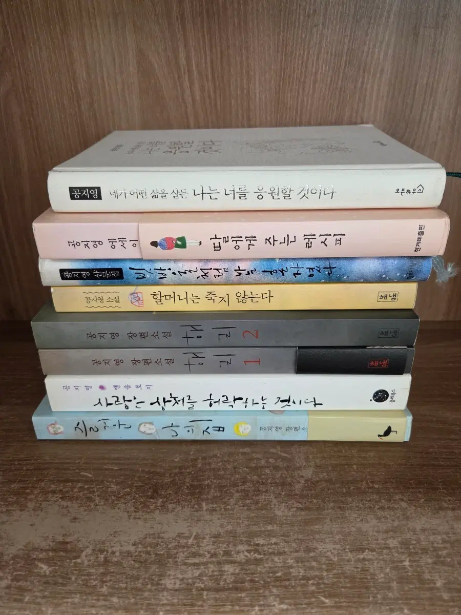 공지영 도서