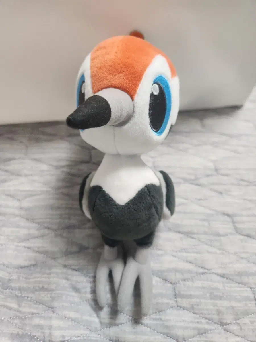 콕코구리 인형