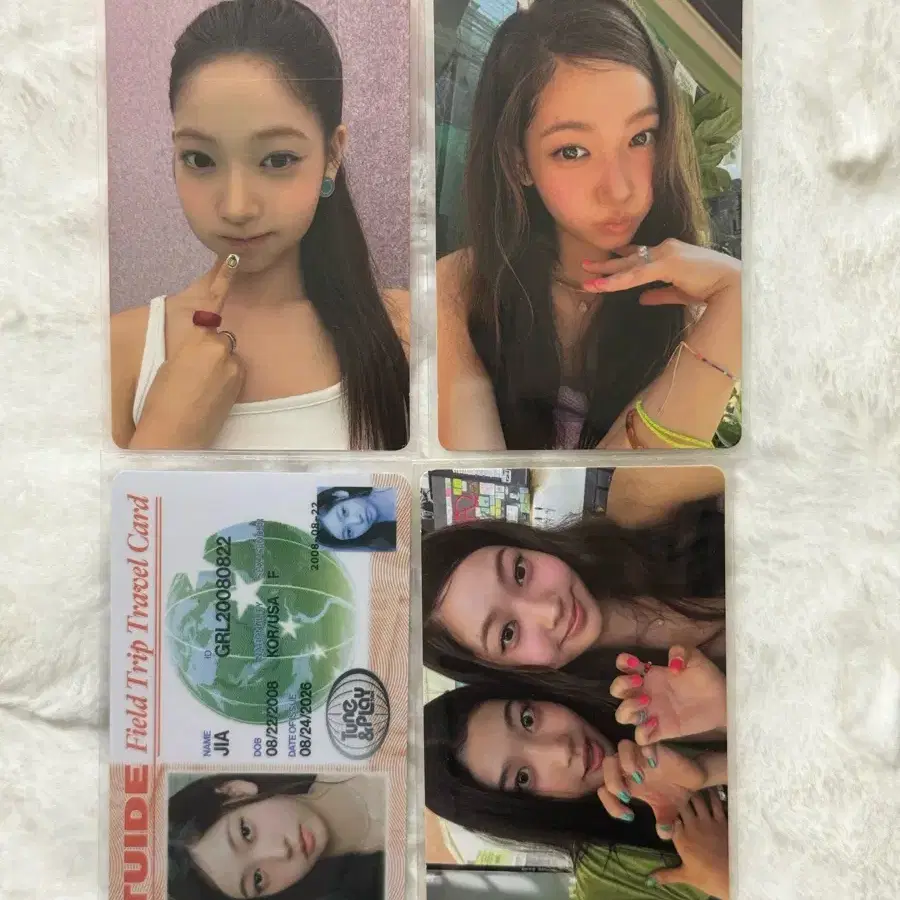 튜이드 지아 앨범 포카 세트 양도