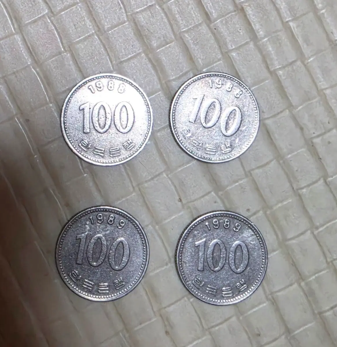 100원 동전 1988년 1989년