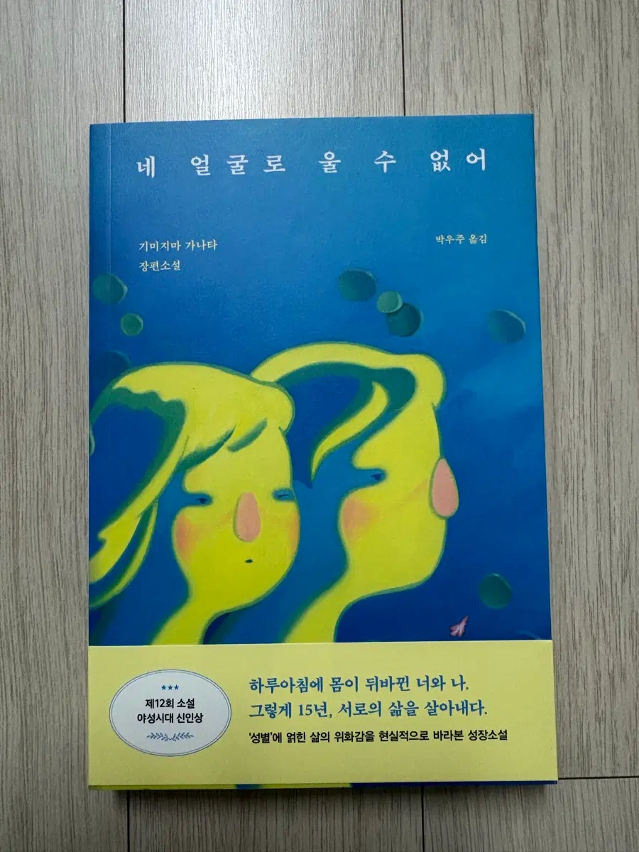 네 얼굴로는 울 수 없어 영화 원작 소설책