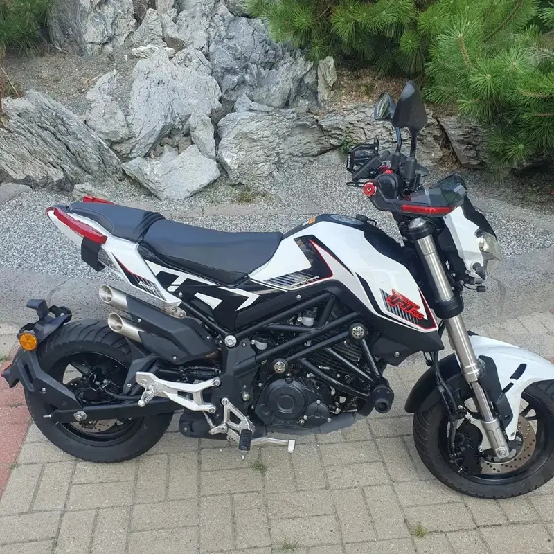 2023)베넬리 TNT125CC(msx125 cb125 줌머125 에이프100 pcx 나비110 울프125