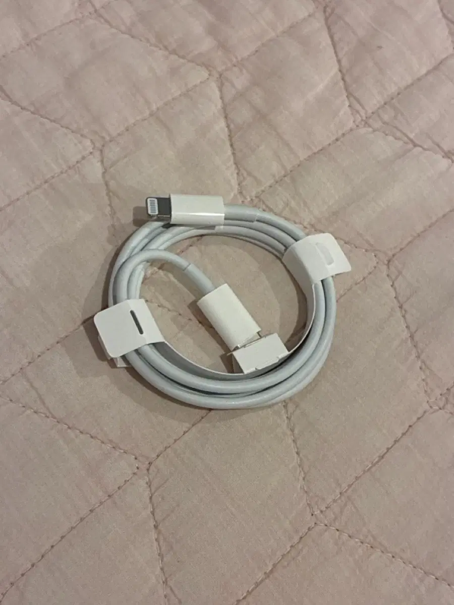 애플 정품 8핀 충전기