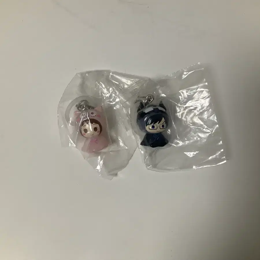 히로아카 메지루시 오챠코 이이다