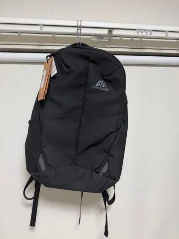 GREGORY RHUNE 22L 백팩 블랙