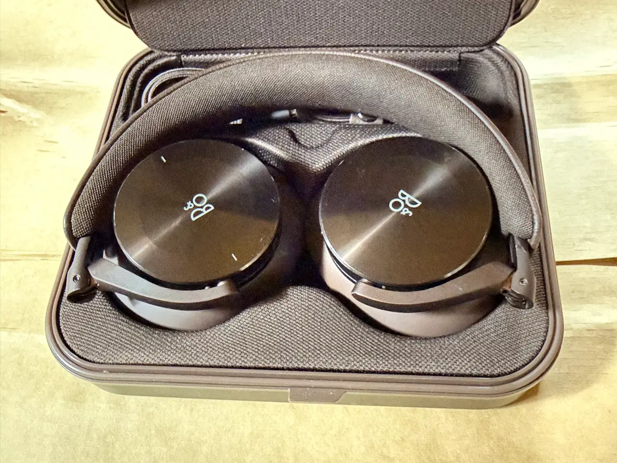 B&O Beoplay H95 뱅앤올룹슨 H95 정품 (케이스,박스 포함)