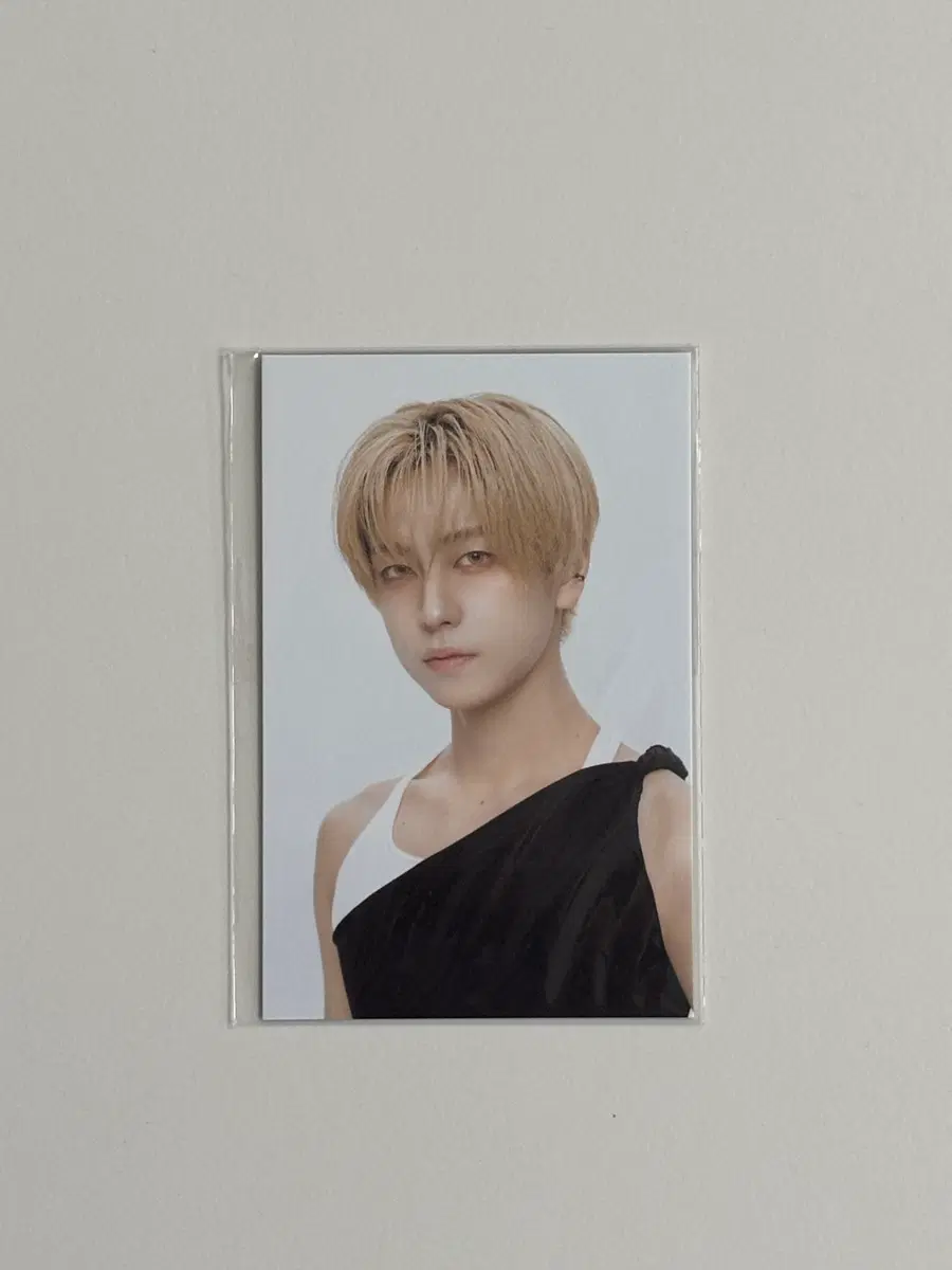 앤팀 팝업 특전 타키