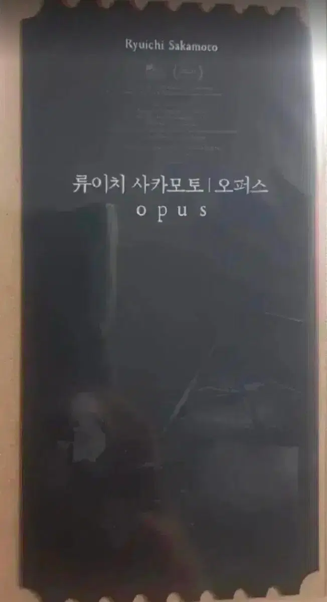 류이치사카모토 오티