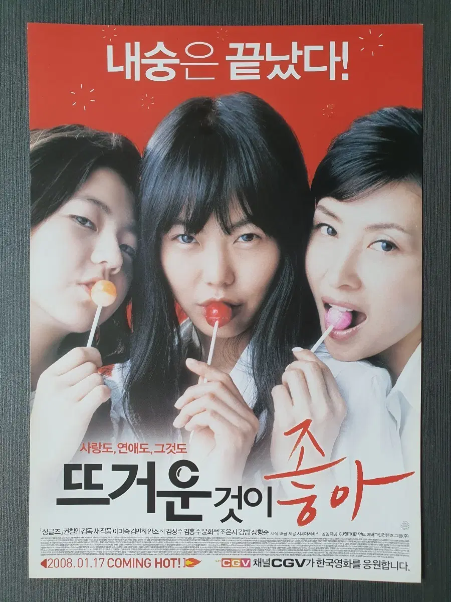 뜨거운 것이 좋아 한국 영화 전단지 A4 김민희 이미숙 안소희
