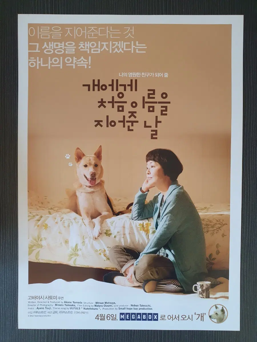 개에게 처음 이름을 지어준 날 일본 영화 전단지 A4 고바야시 사토미